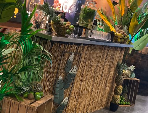 RADIO CONTACT – « La planète des singes » – Bar à thème « Jungle »
